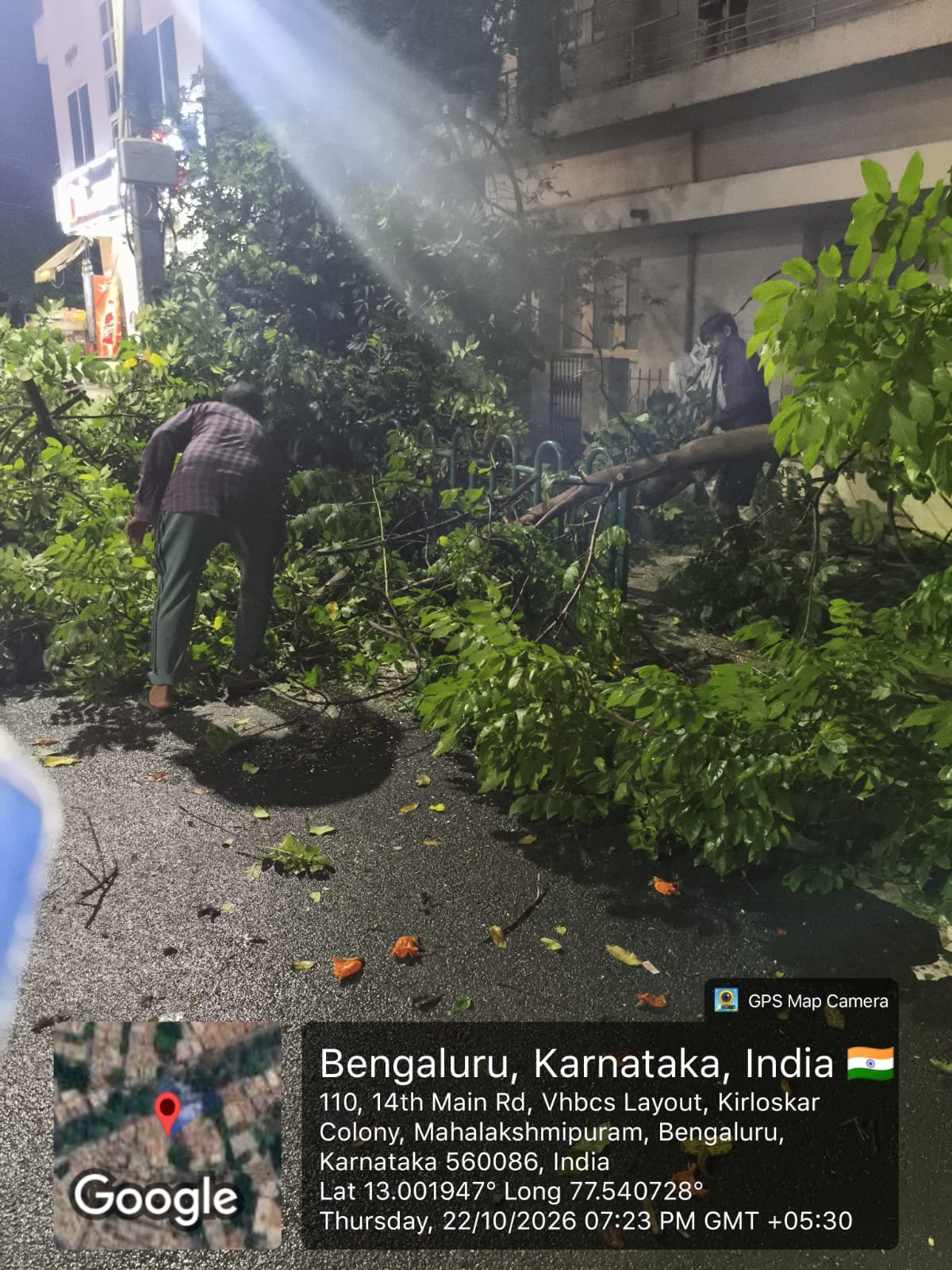 People clearing tree branches from a wet roadside in Mahalakshmipuram, Bengaluru, on October 22, 2026