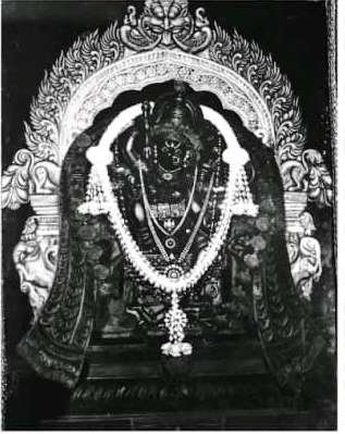 Mysore Dasara — image supplied with the article